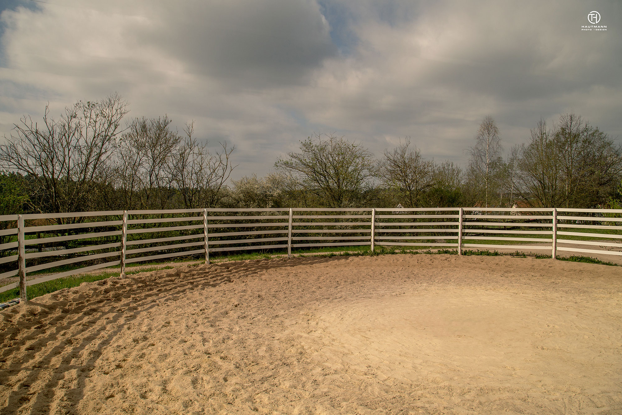 Roundpen Horse Base