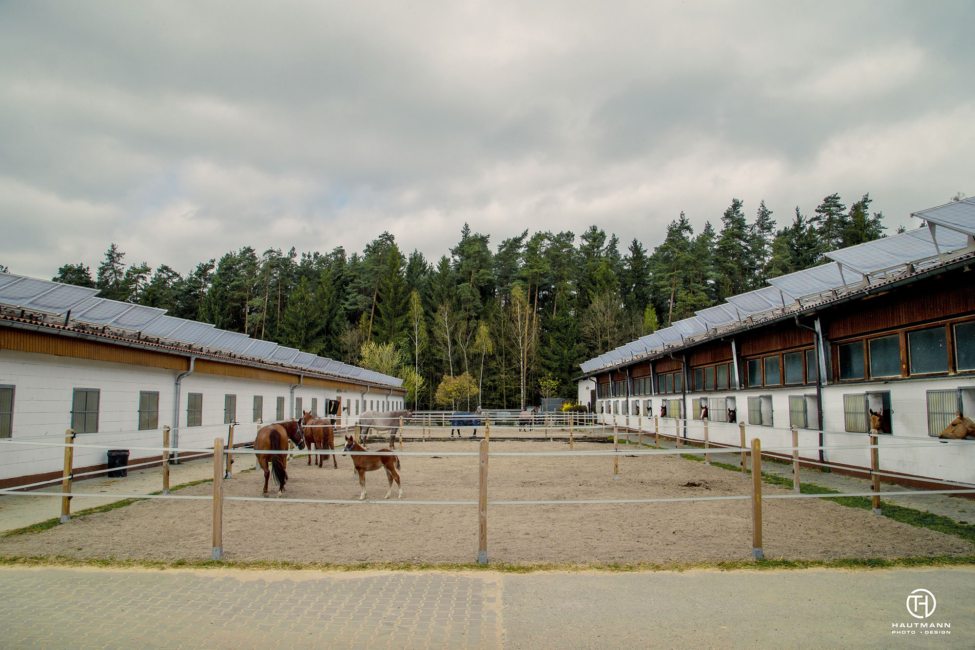 Paddocs Horse base Schnaittach
