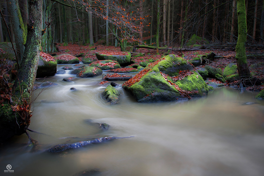 Bach im Herbst