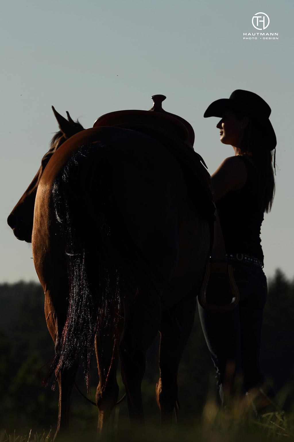 Pferd Sonnenuntergang