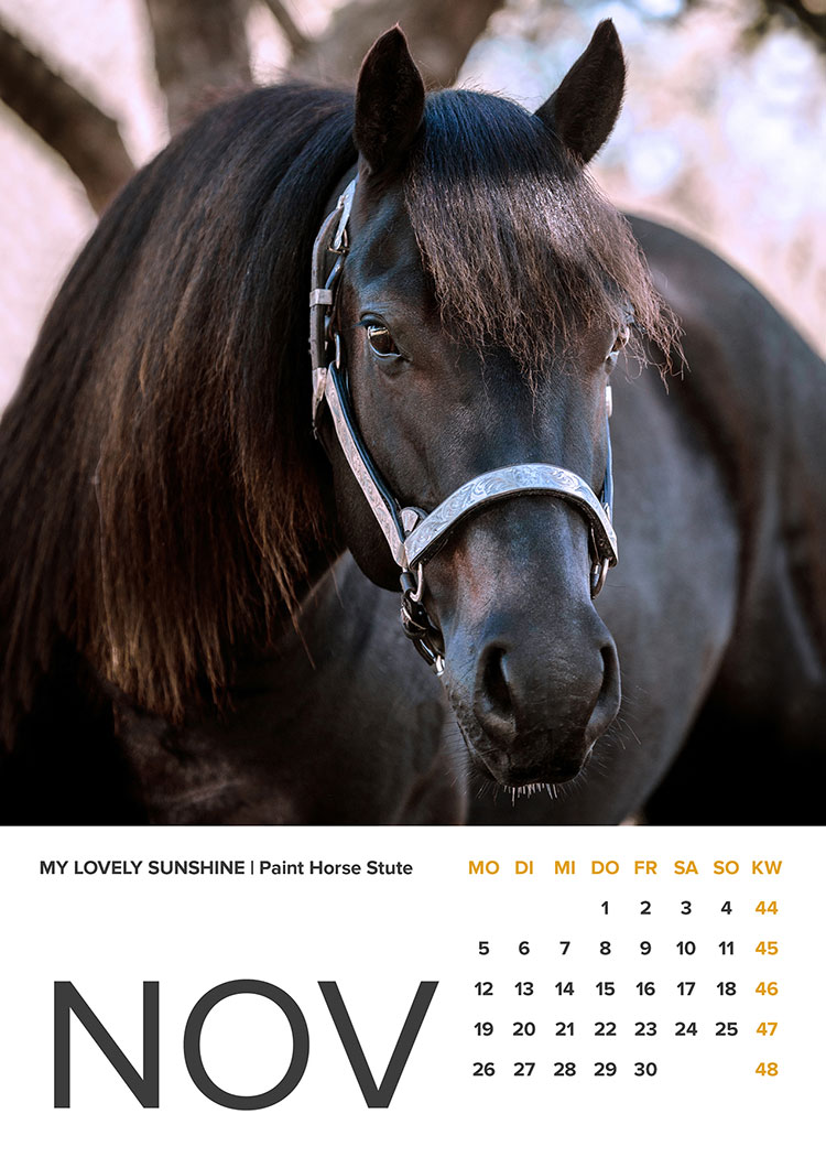 Paint Horse Stute Kalenderblatt