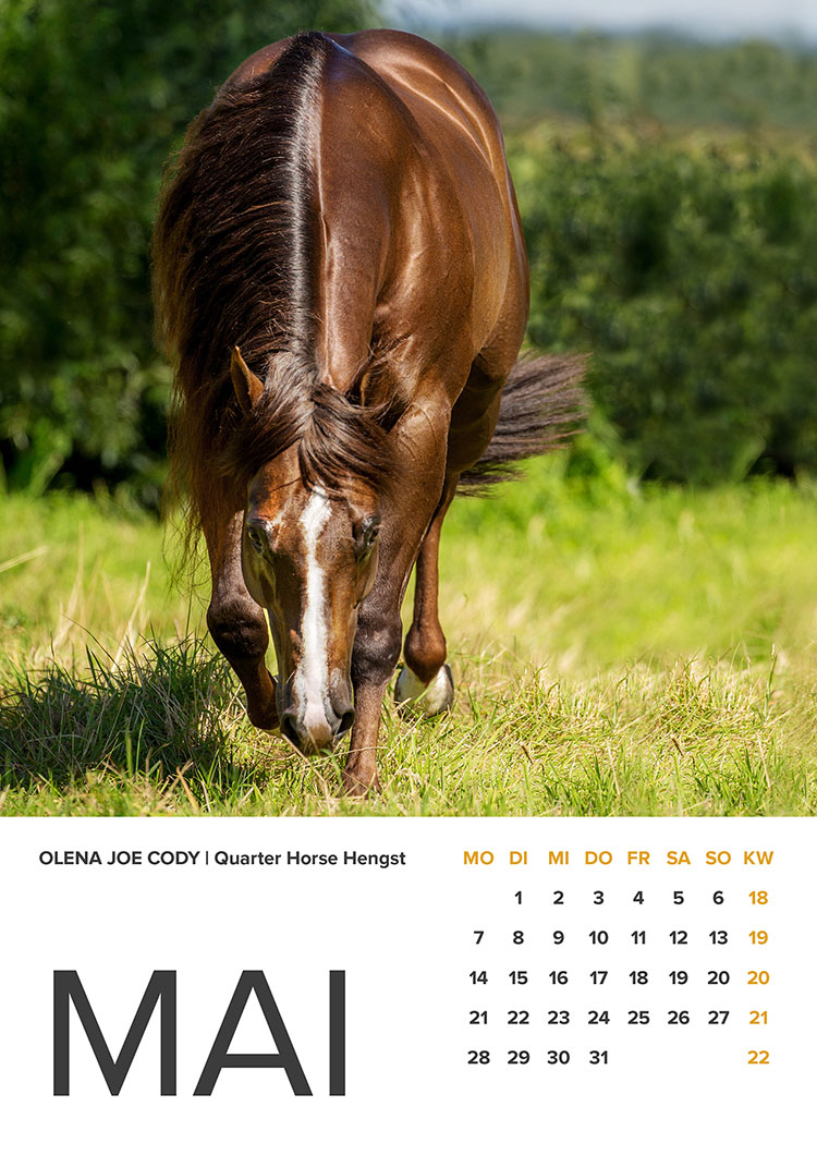 Pferd Koppel Kalender