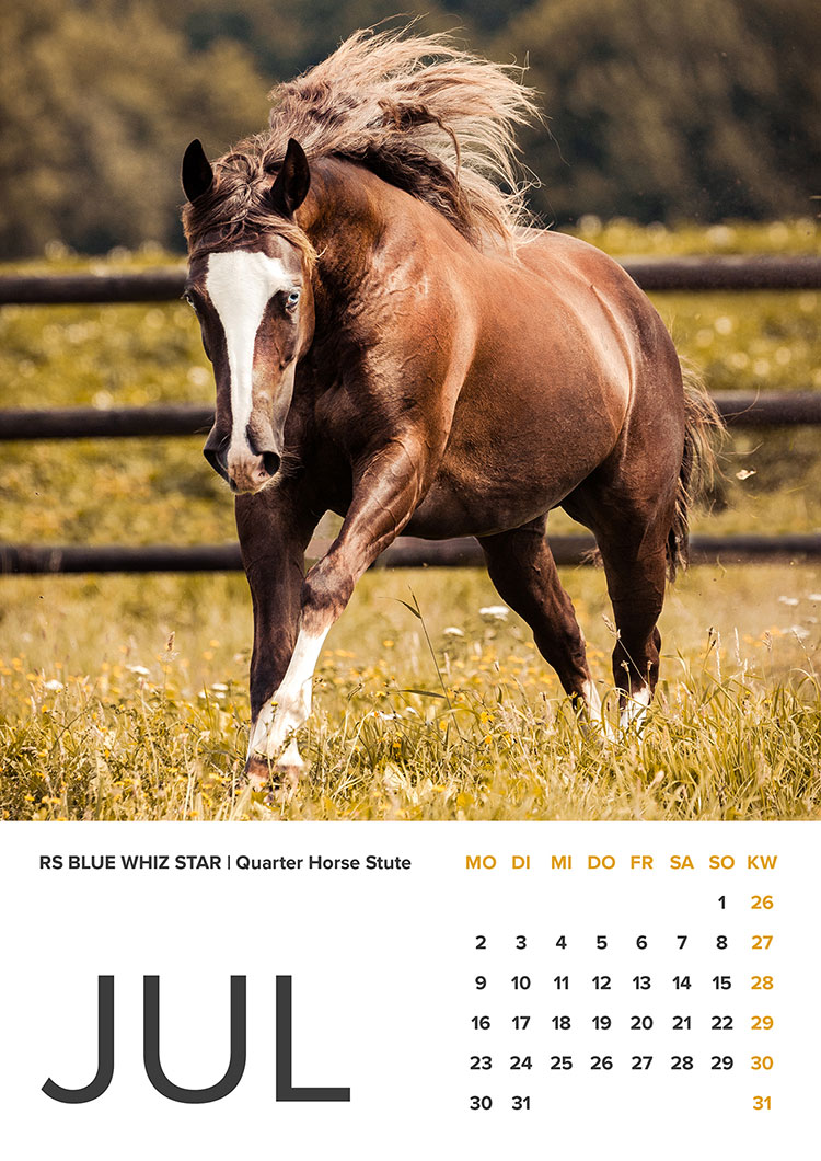 Quarter Horse Kalender