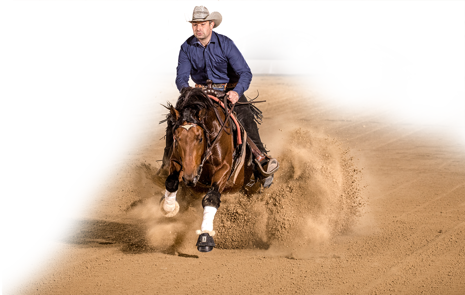 markus-suechting-hfwannabeashockstar