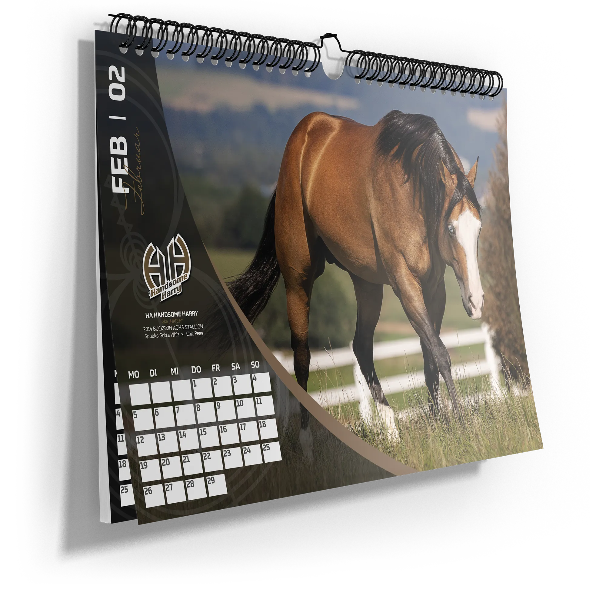 reining-stallion-calendar