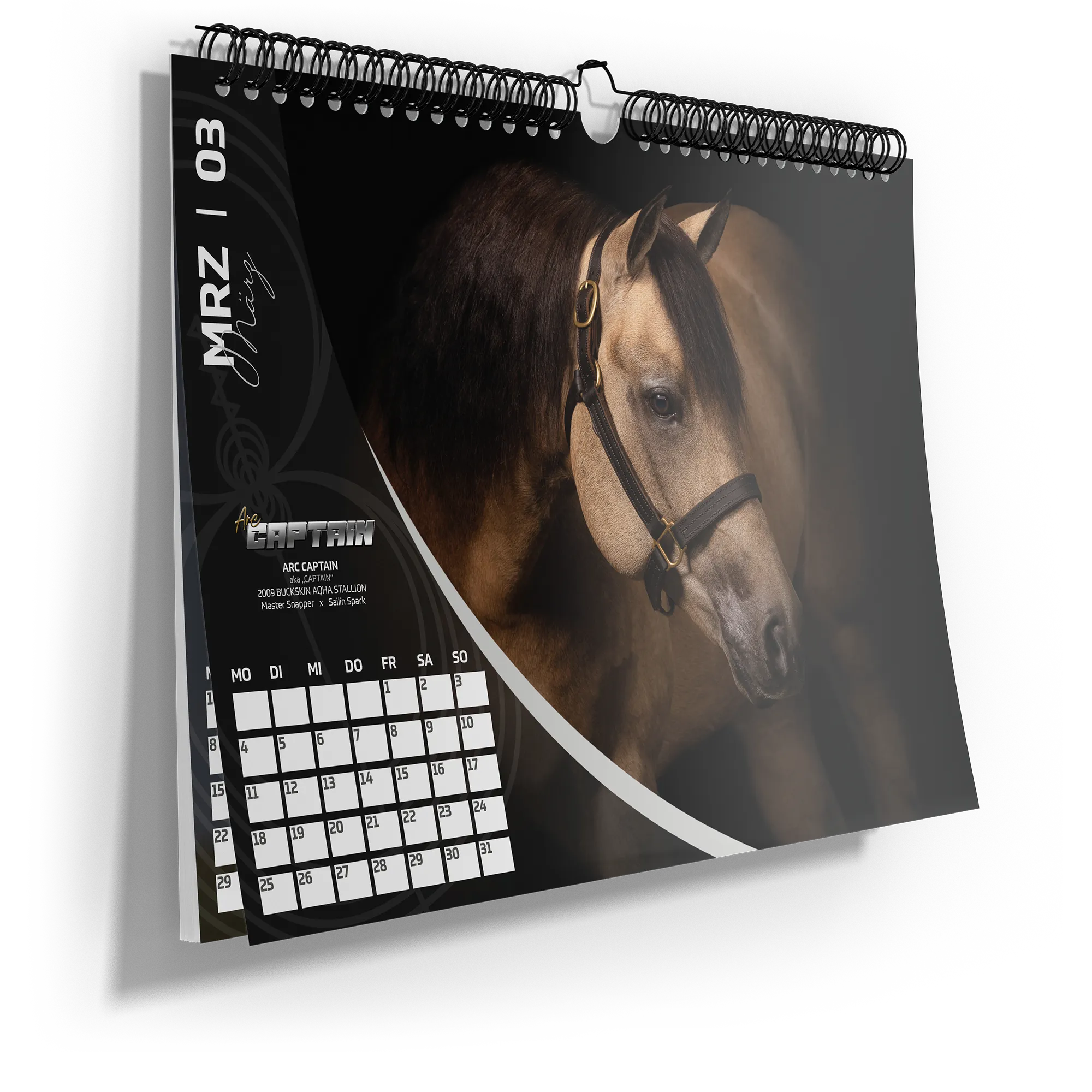wandkalender-dina3-pferd
