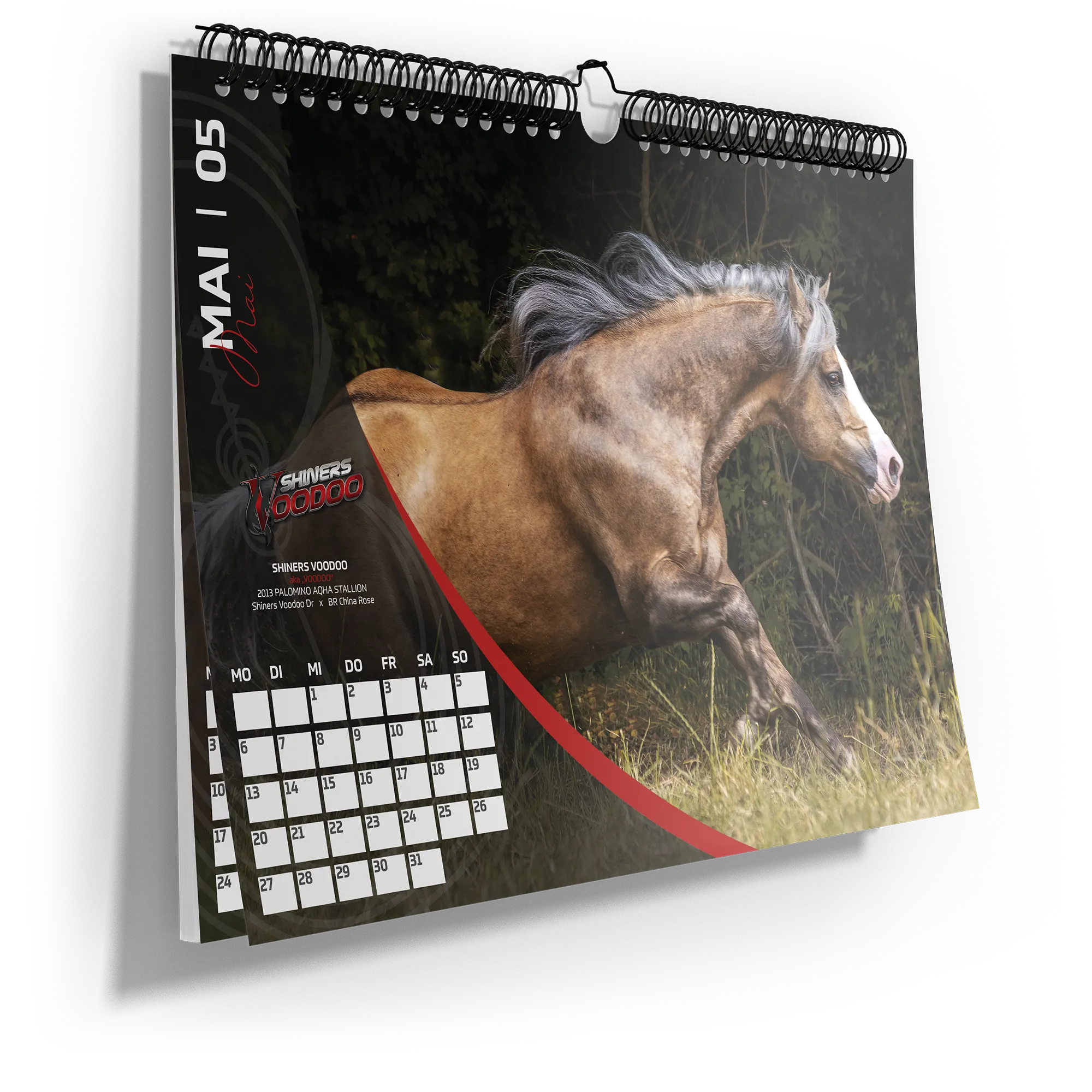 kalender-westernpferd