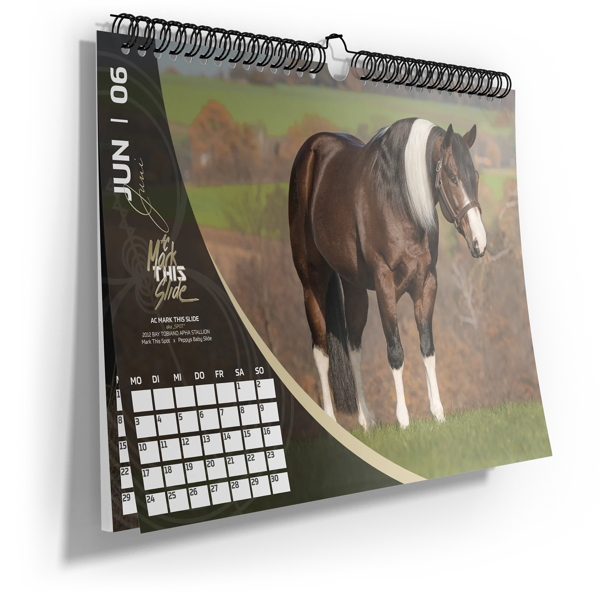 wandkalender-mit-pferden