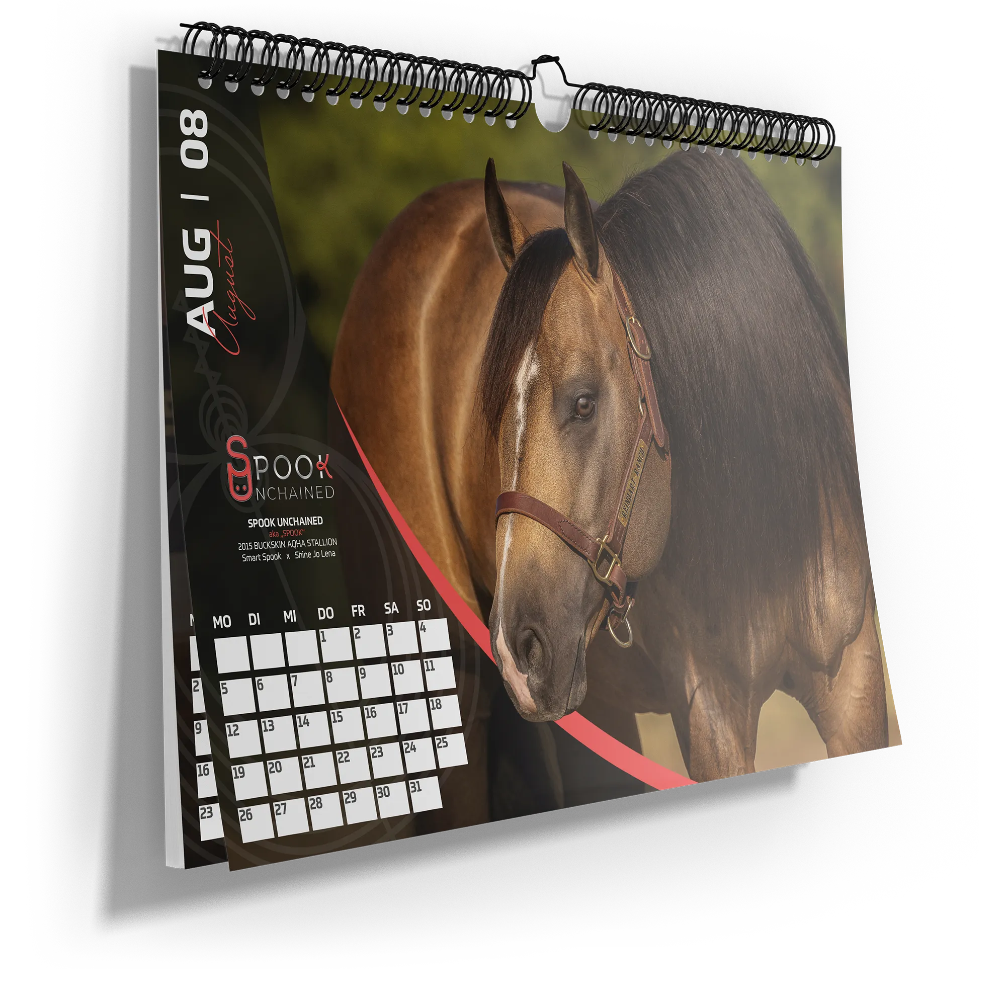 pferdefoto-kalender